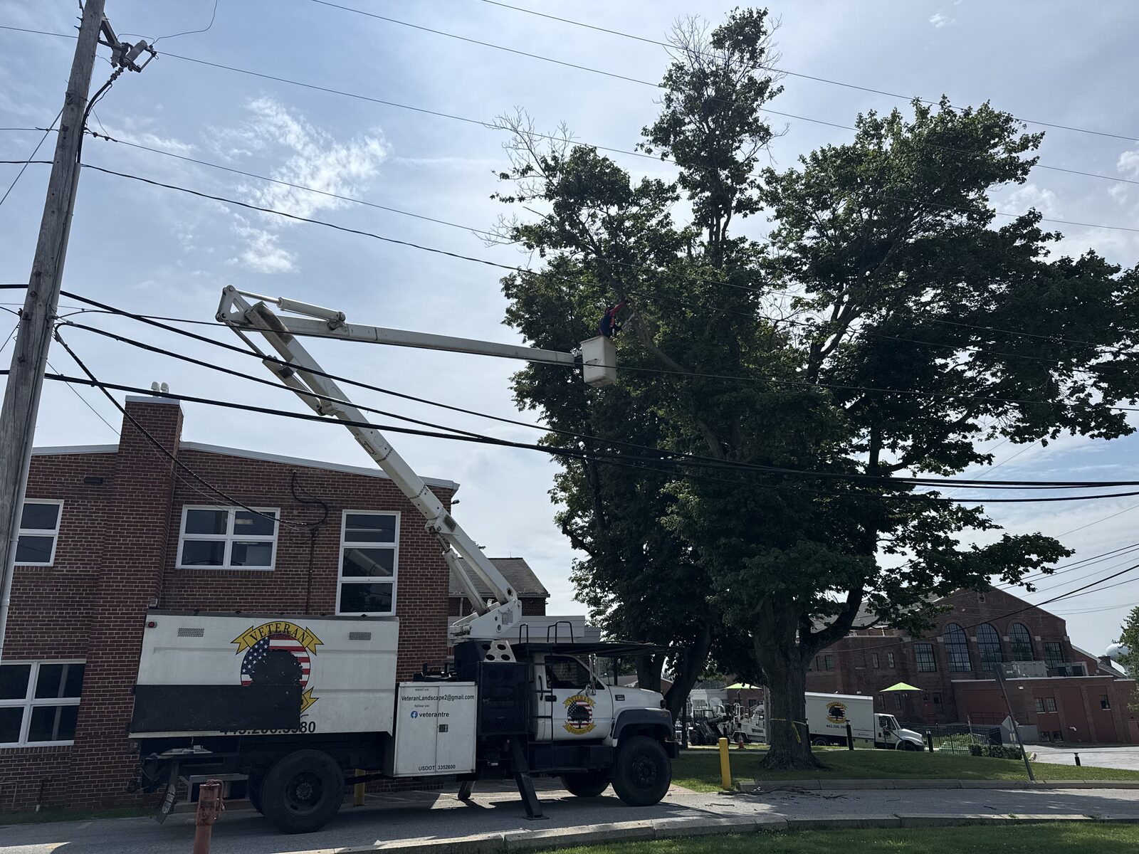 Veteran Tree & Landscape job site