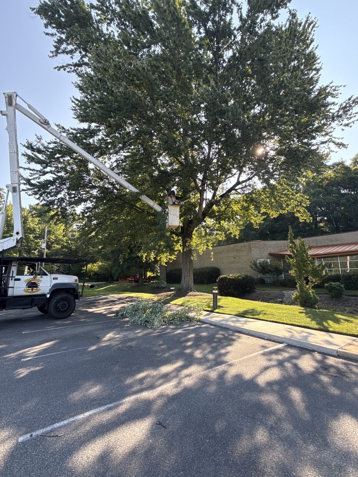 Street-Side Trimming