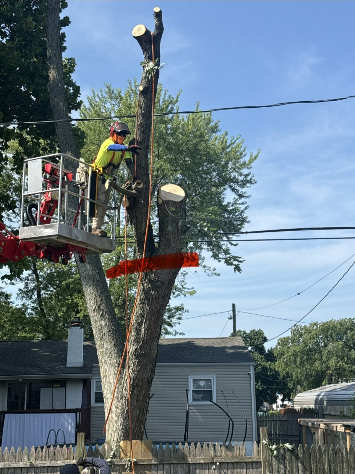 Veteran Tree & Landscape job site