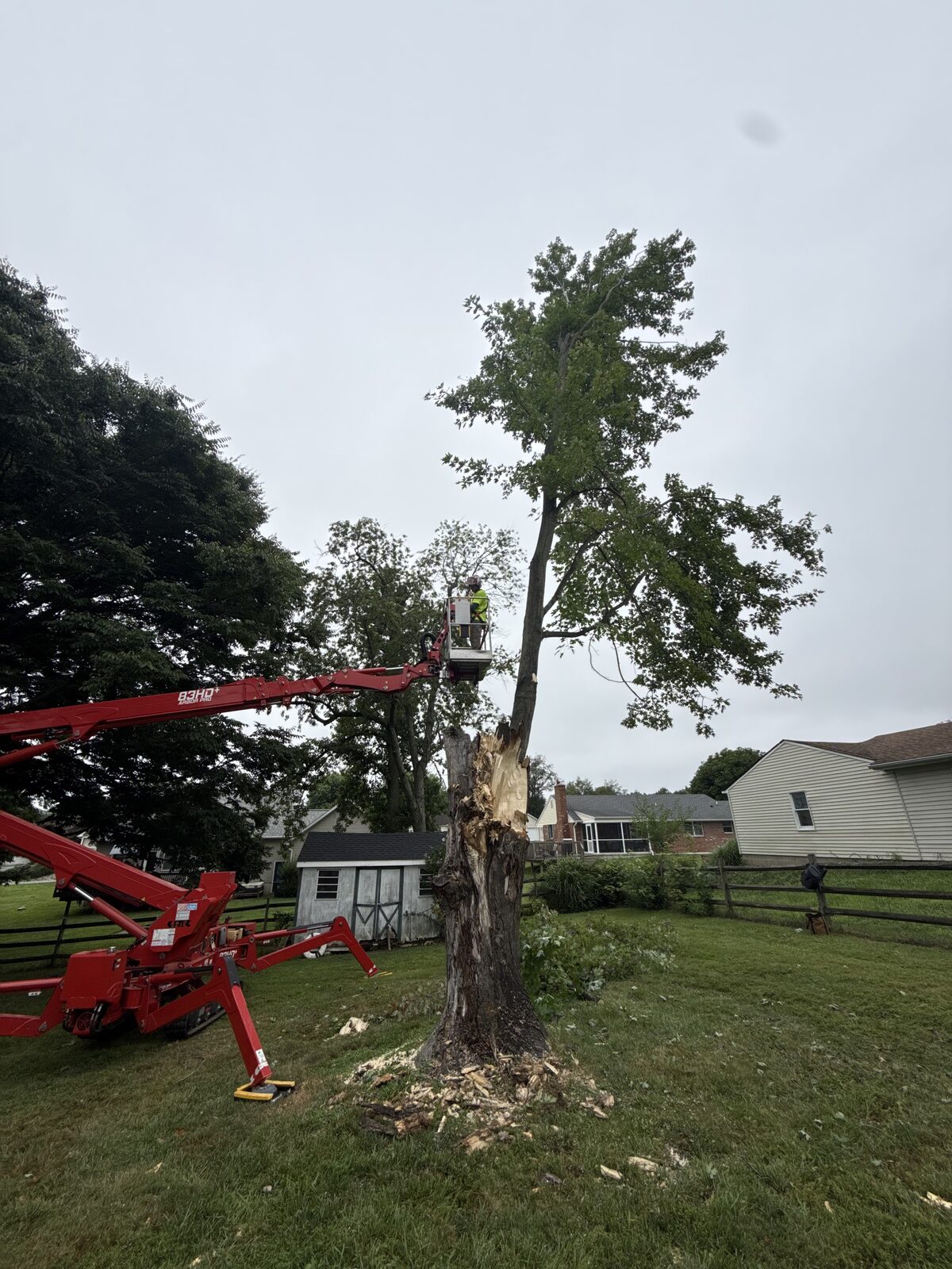 Veteran Tree & Landscape job site