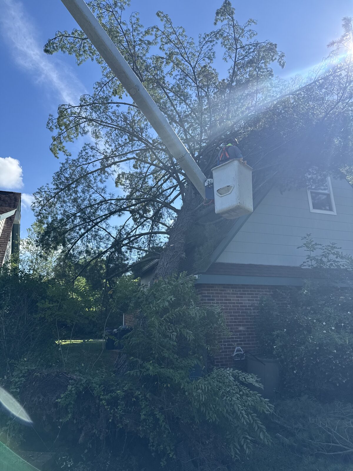 Working Above The Roofline
