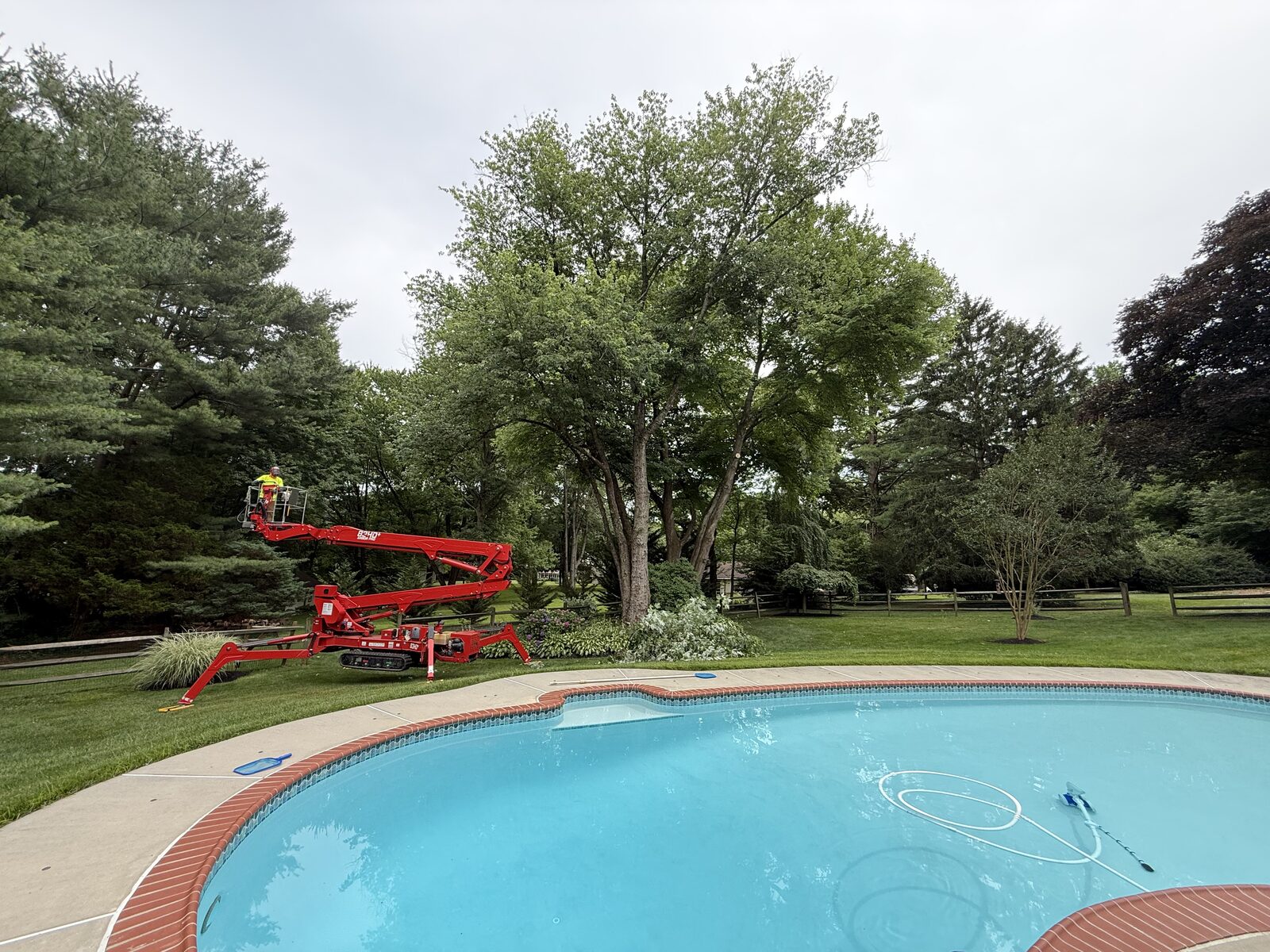 Poolside Canopy Work