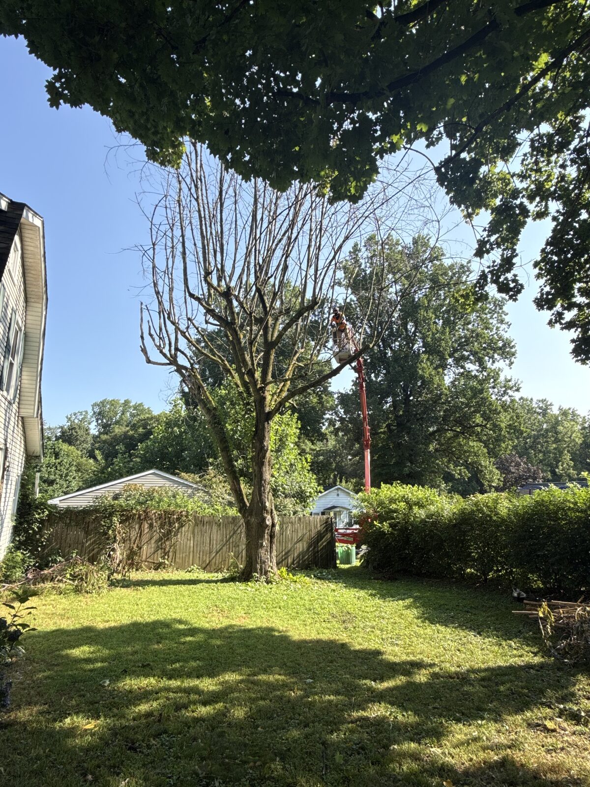 Tight-Access Trimming