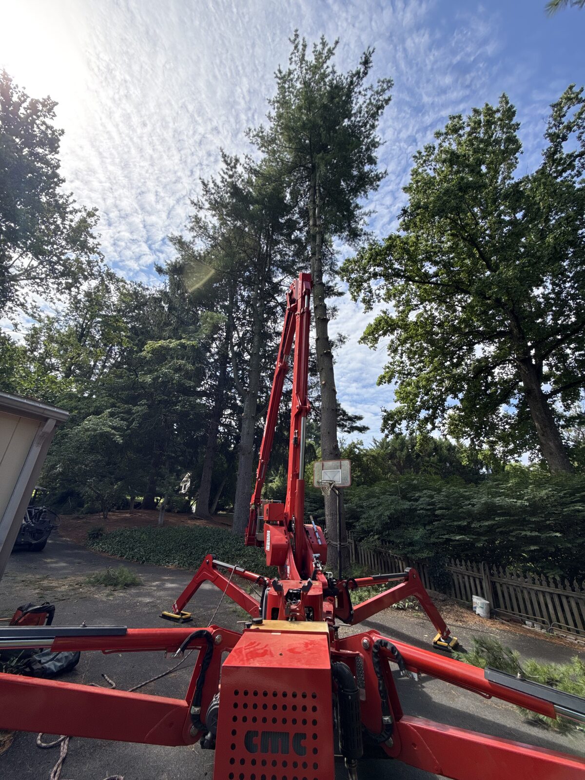 Spider Lift Setup