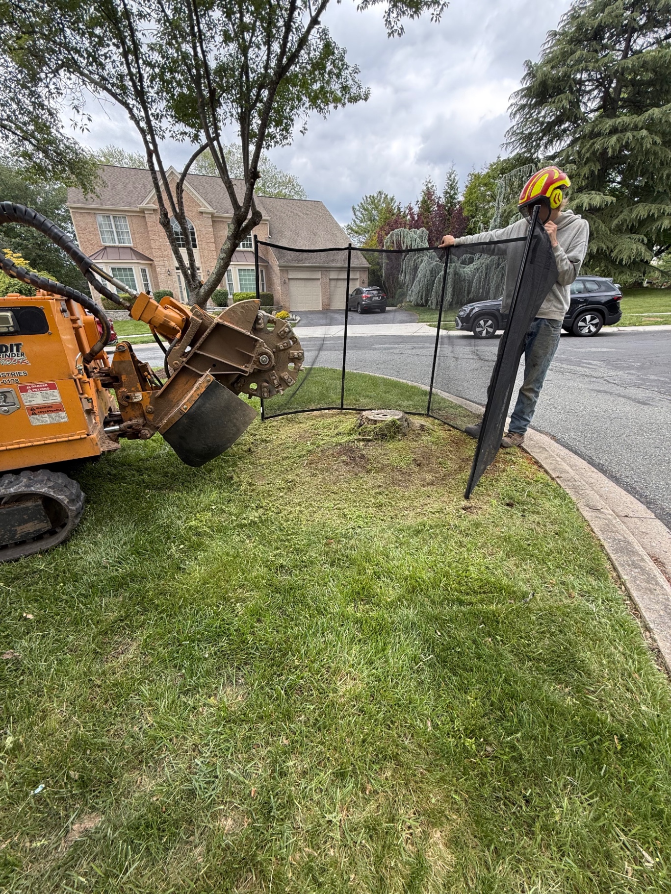 Veteran Tree & Landscape job site