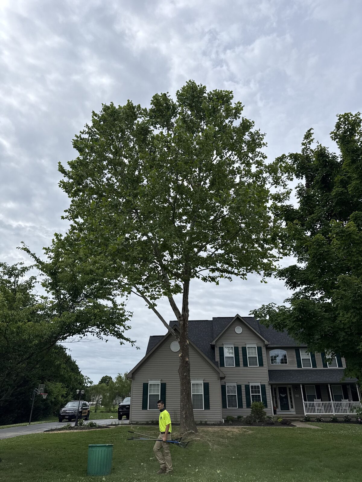 Overhanging Limbs Over A Home
